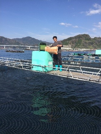 ふるさとへの愛（歴史・伝統）