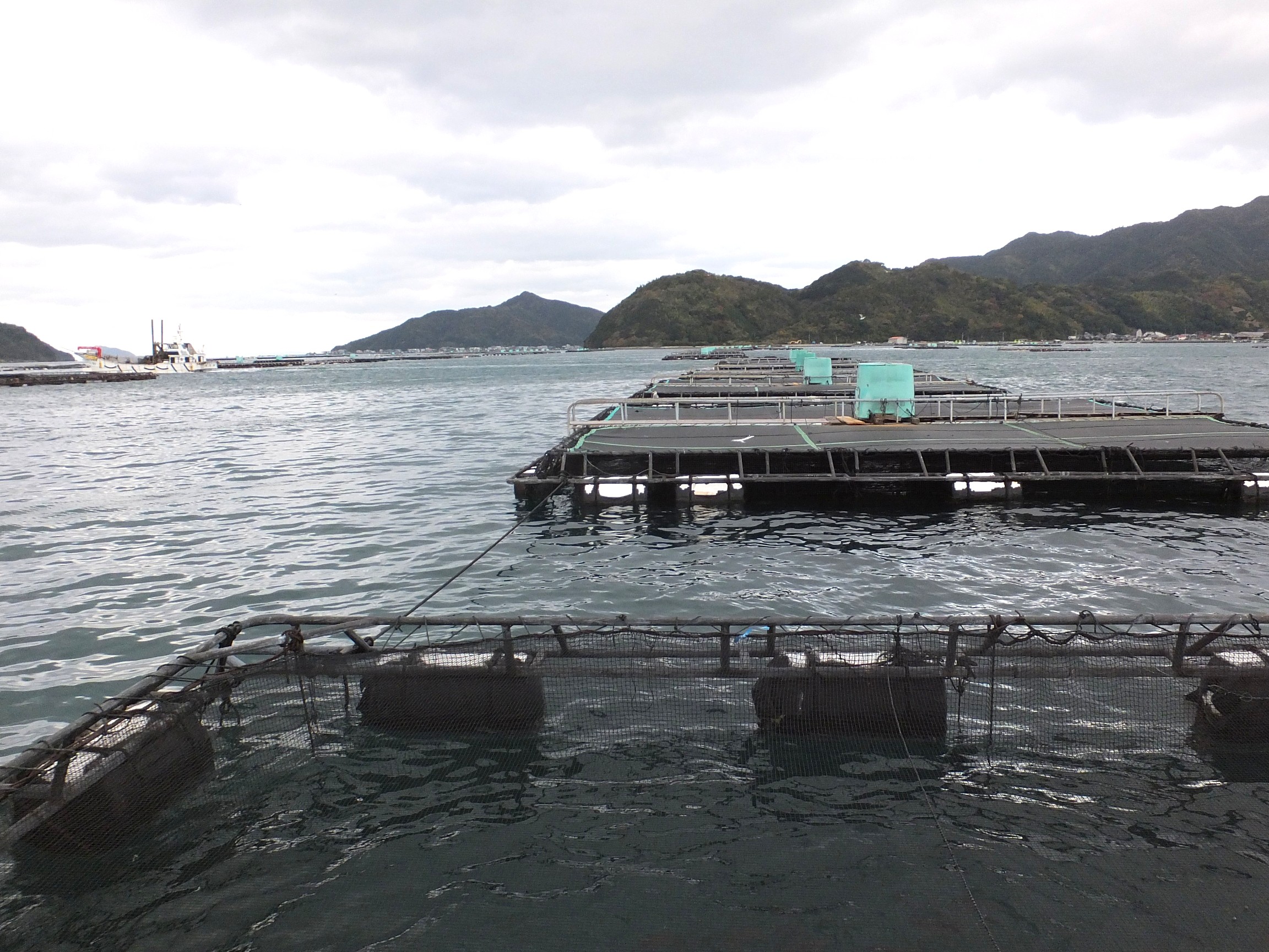 ふるさとへの愛（歴史・伝統）