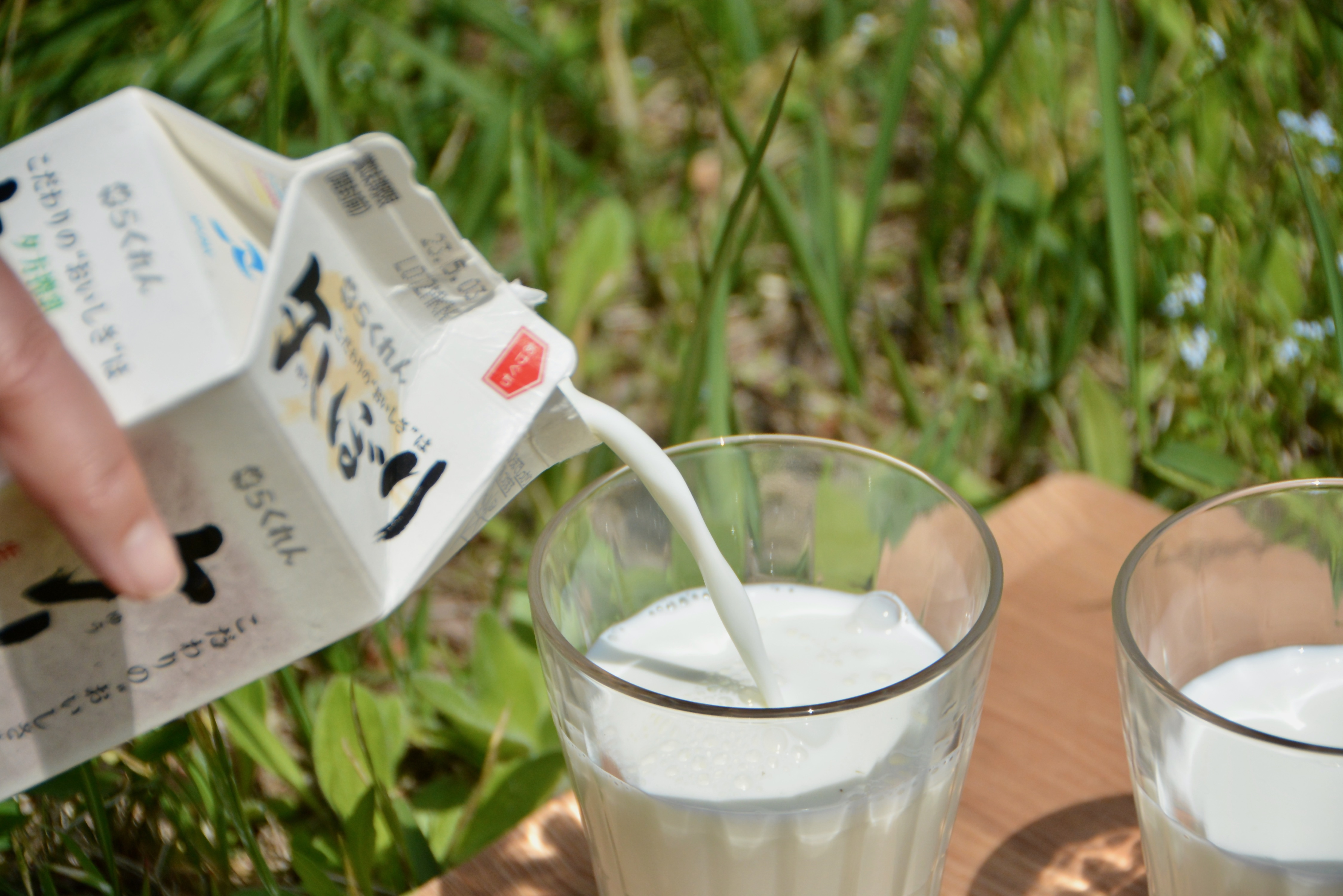 ふるさとへの愛（歴史・伝統）
