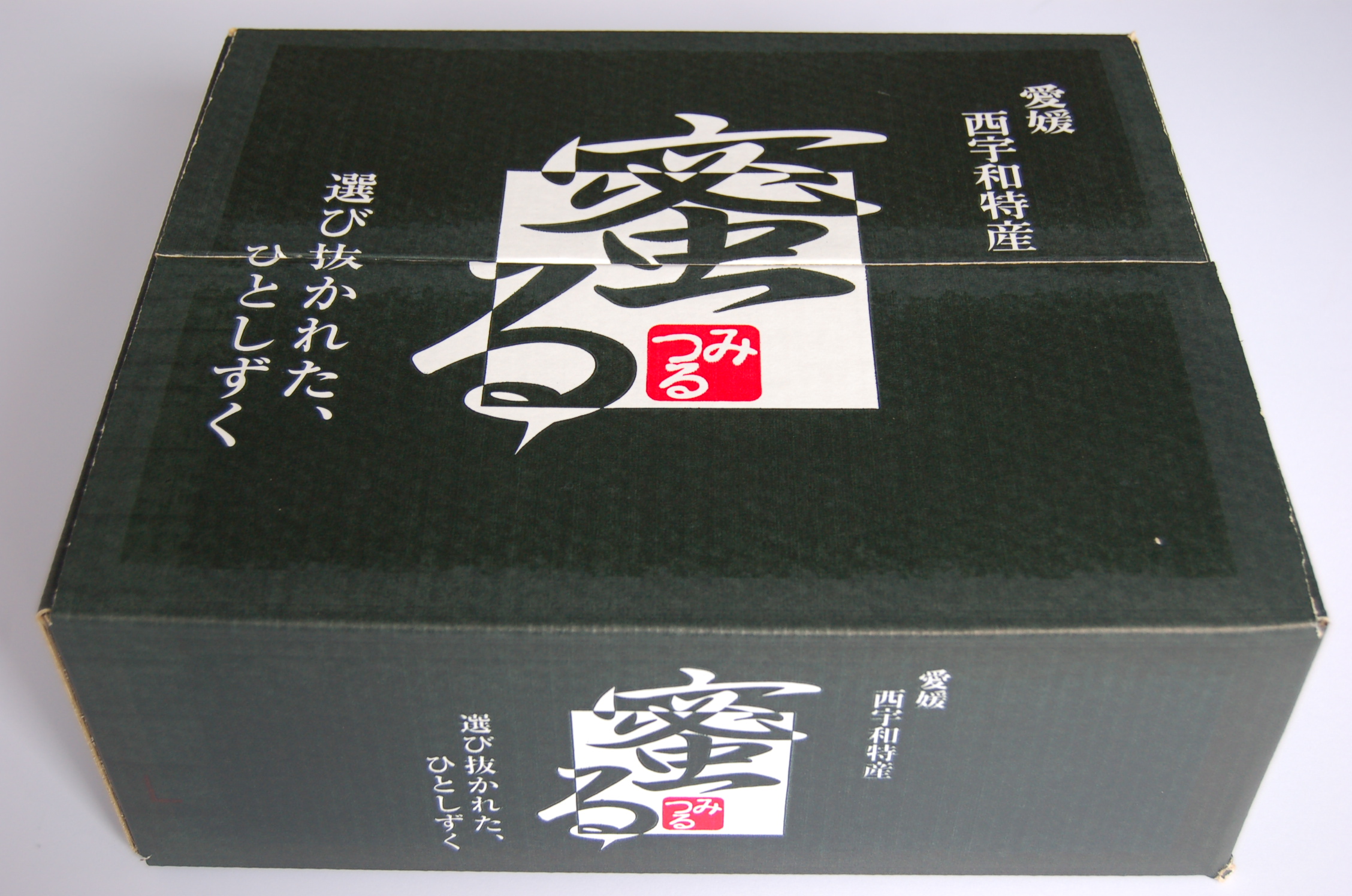 ふるさとへの愛（歴史・伝統）