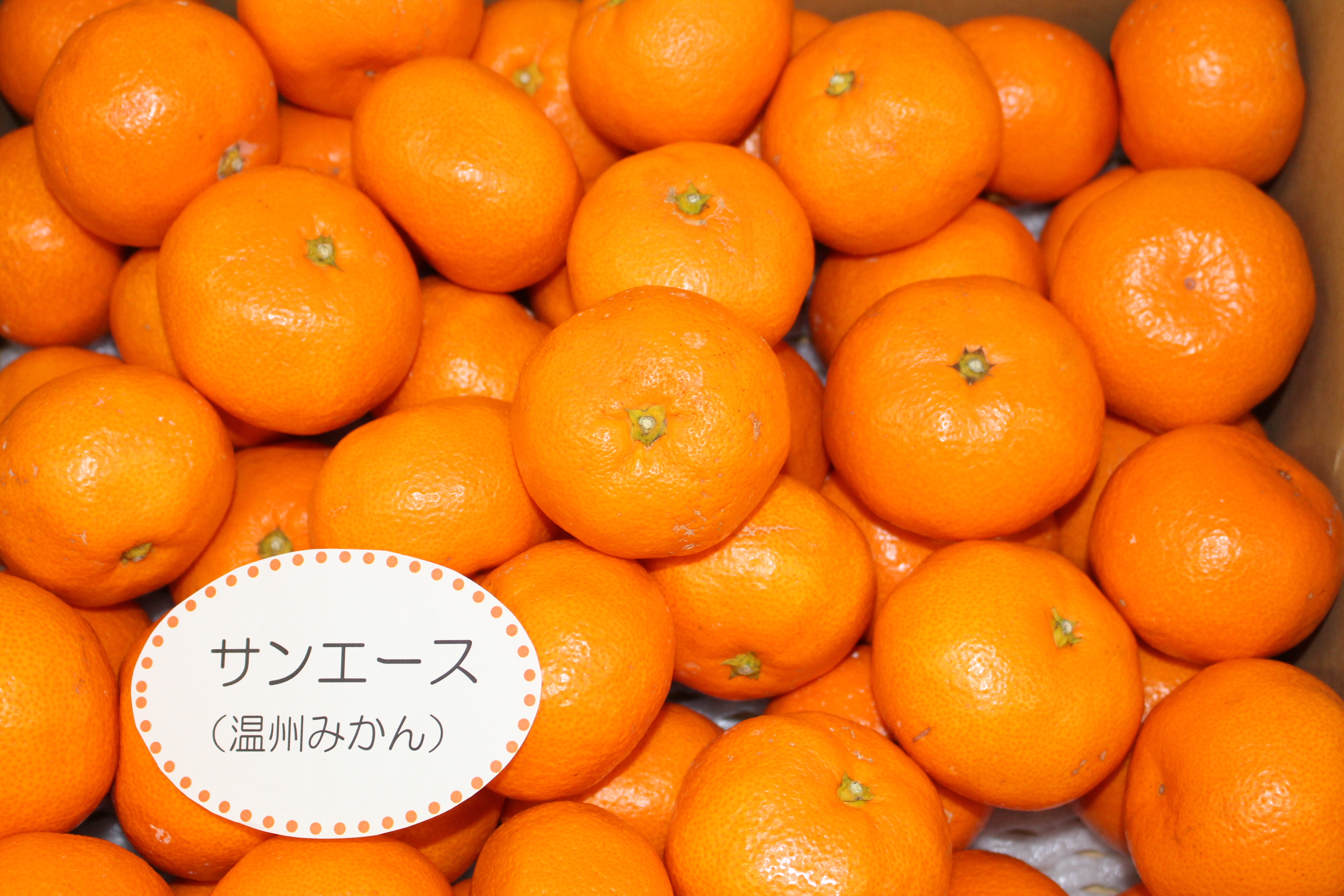 産物への愛（産品の特徴）