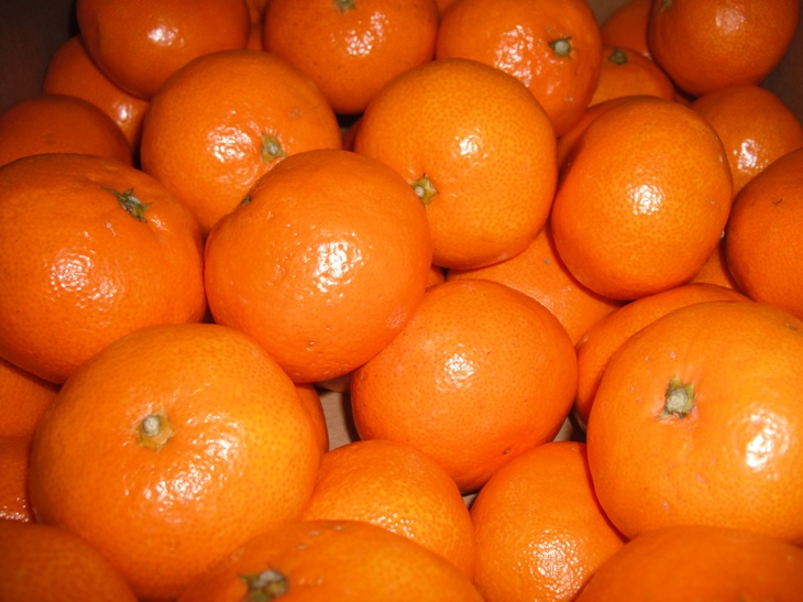 産物への愛（産品の特徴）