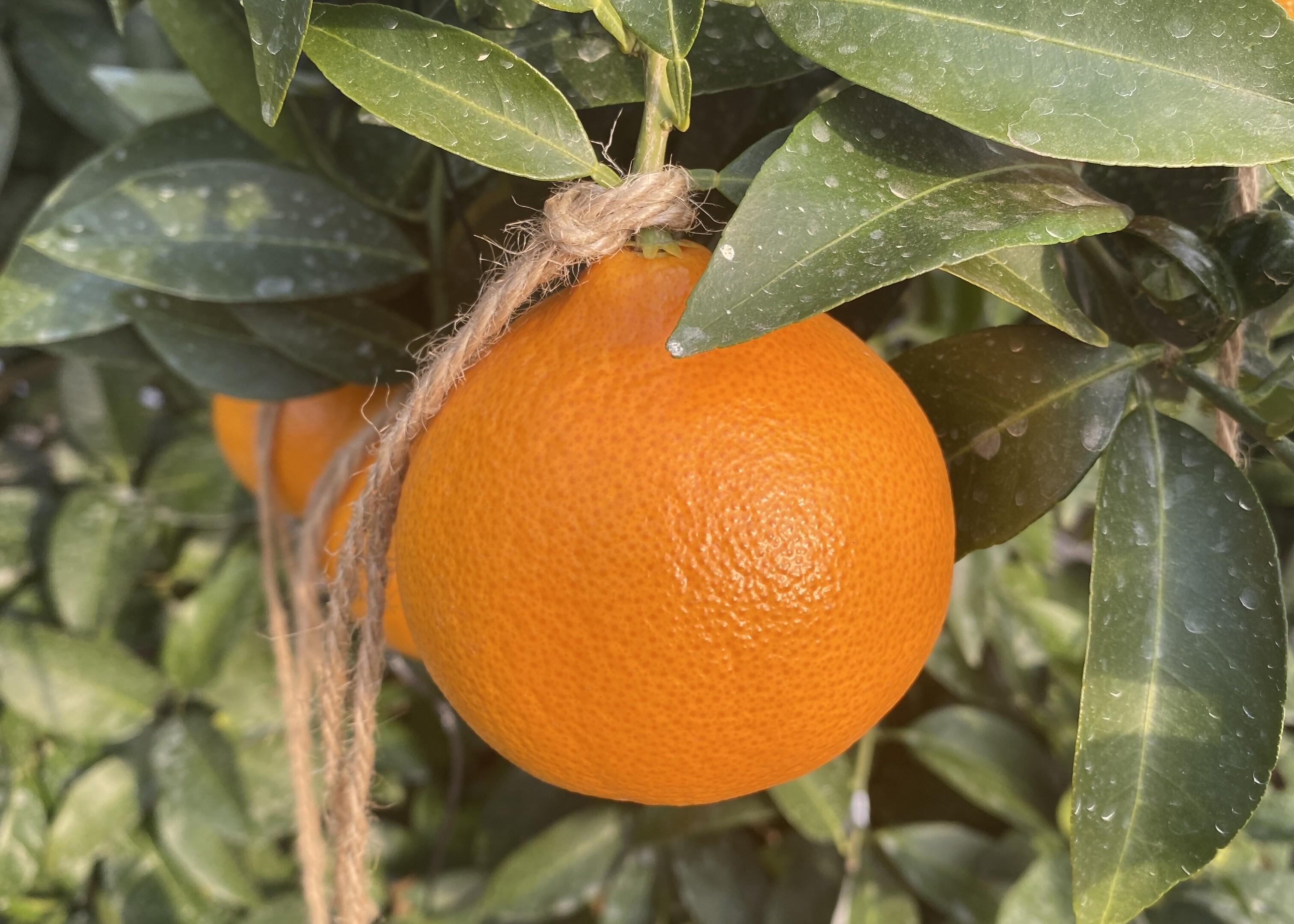 人・環境への愛（安全・安心）