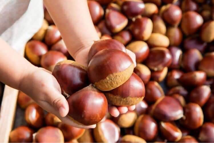 産物への愛（産品の特徴）