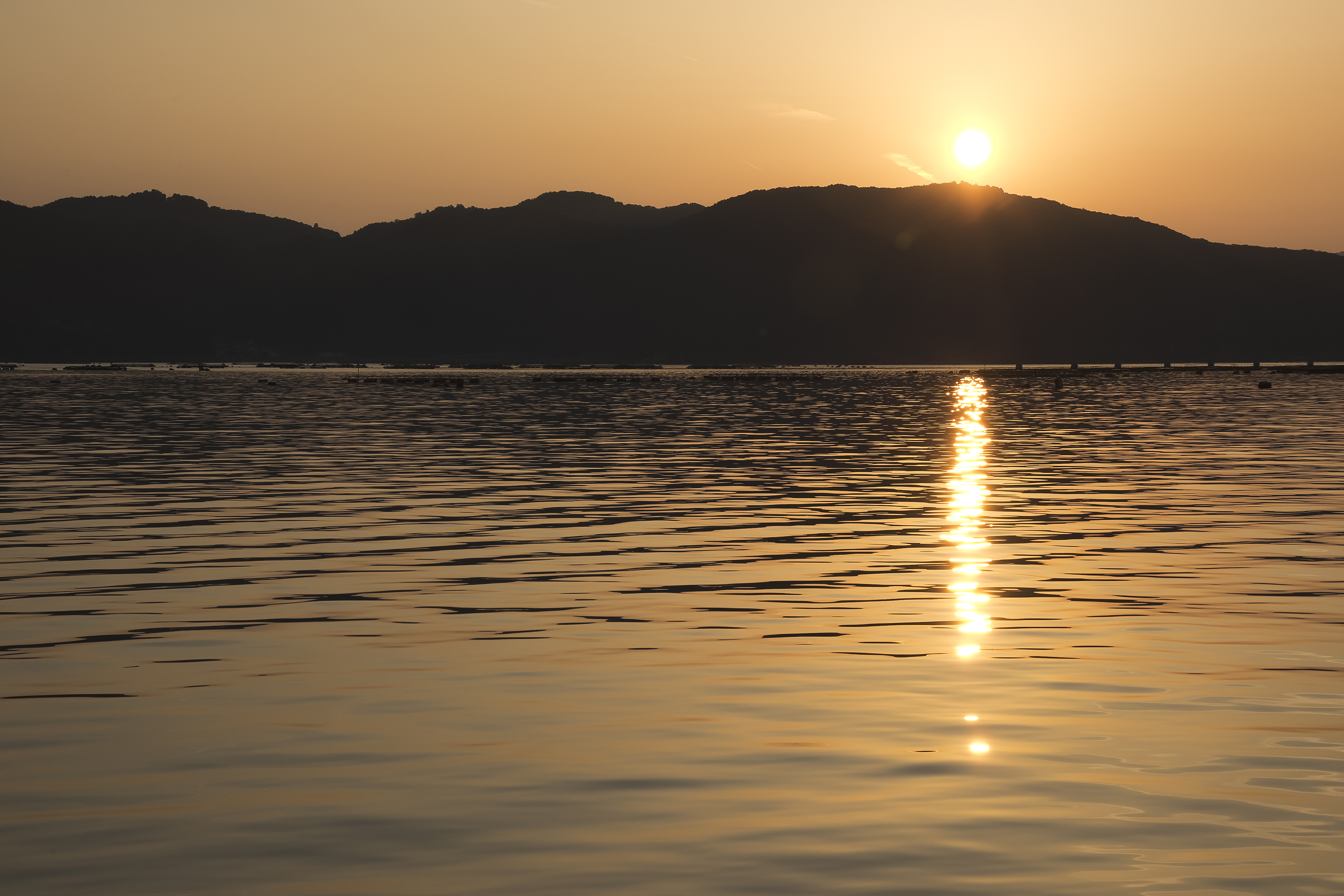 ふるさとへの愛（歴史・伝統）