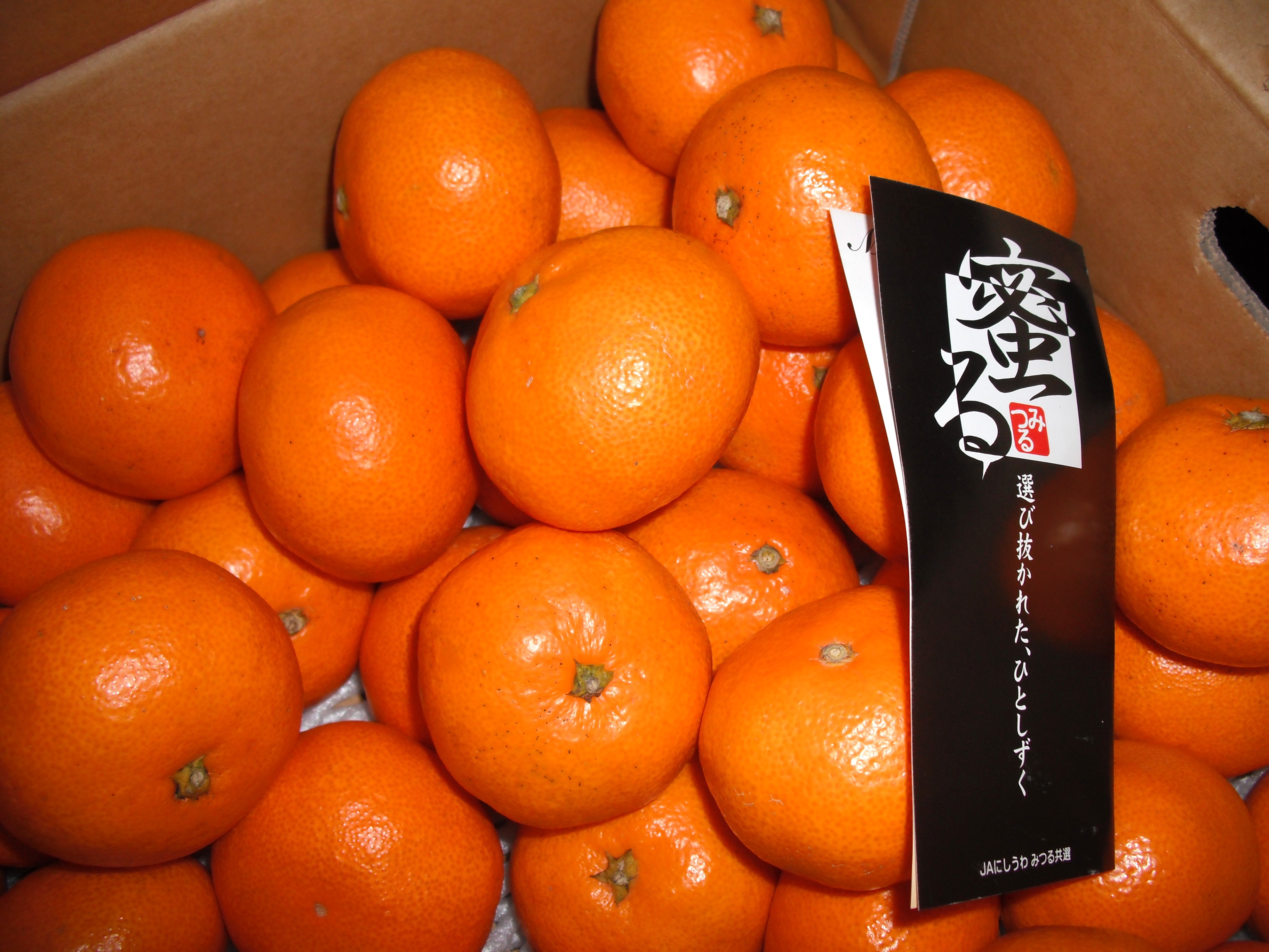 人・環境への愛（安全・安心）