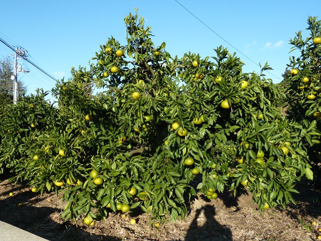 人・環境への愛（安全・安心）