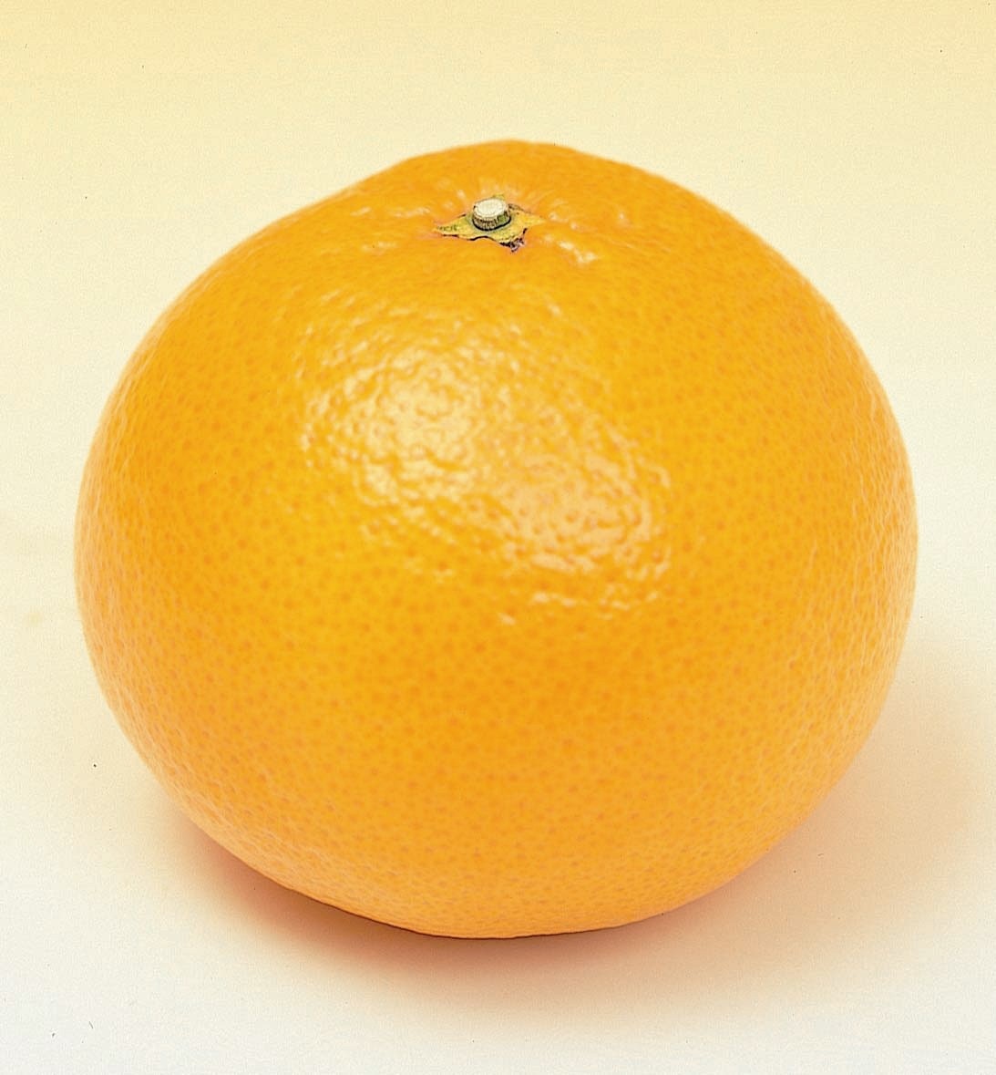 産物への愛（産品の特徴）