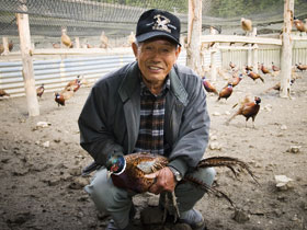 ふるさとへの愛（歴史・伝統）